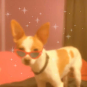 Meet your Posher, Ciara